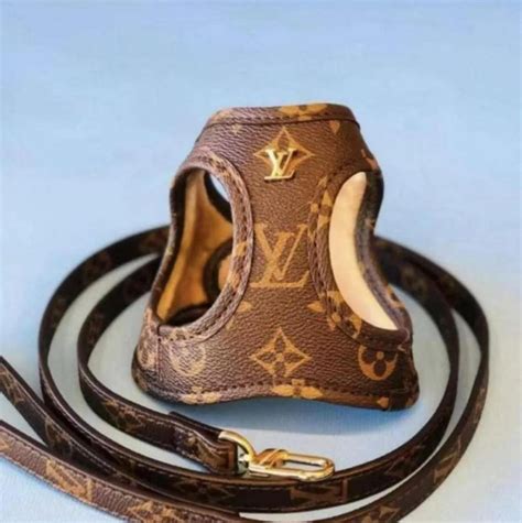 louis vuitton dog harness and leash|faux Louis Vuitton dog carriers.